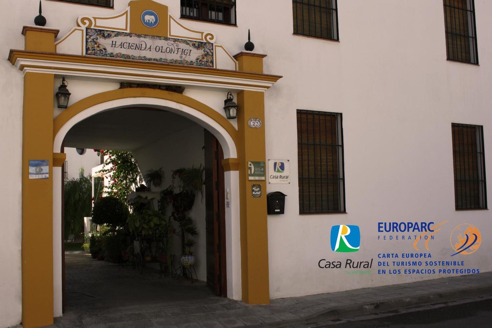 Hacienda Olontigi Casa de hóspedes Aznalcázar Exterior foto