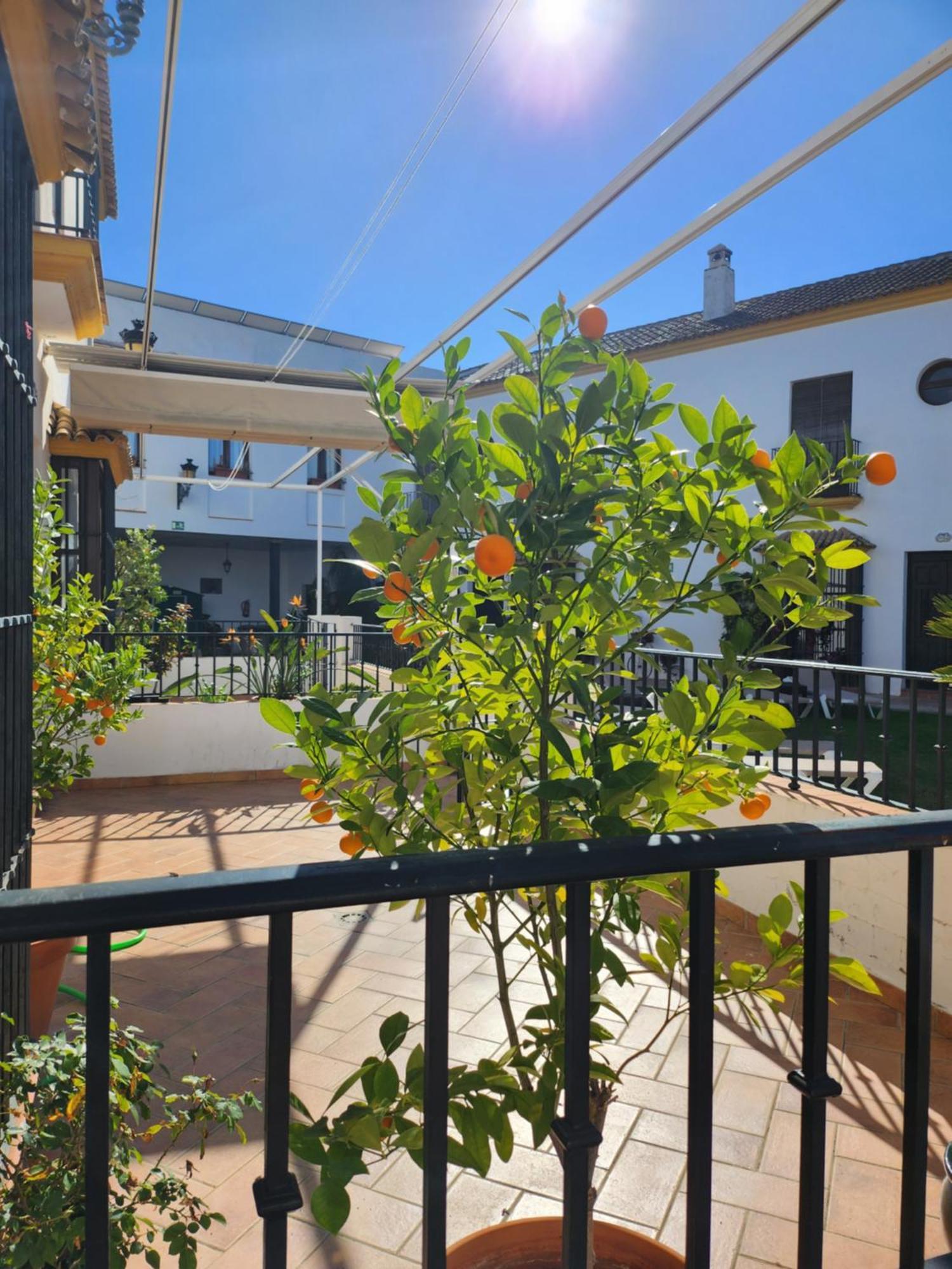 Hacienda Olontigi Casa de hóspedes Aznalcázar Exterior foto